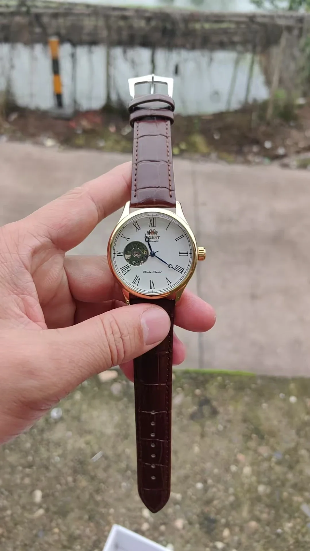 DFDG Mekanik İskelet Saat, Tam - Seiko Watch Presage incelemesi ve fiyatı